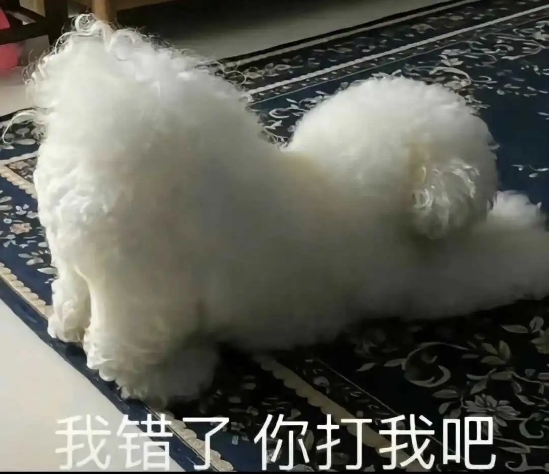 西檬之家s属性是什么意思? 一