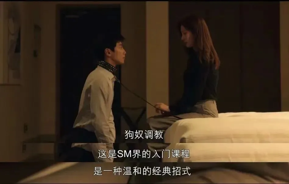 西檬之家字母圈K9犬系入门指南 一