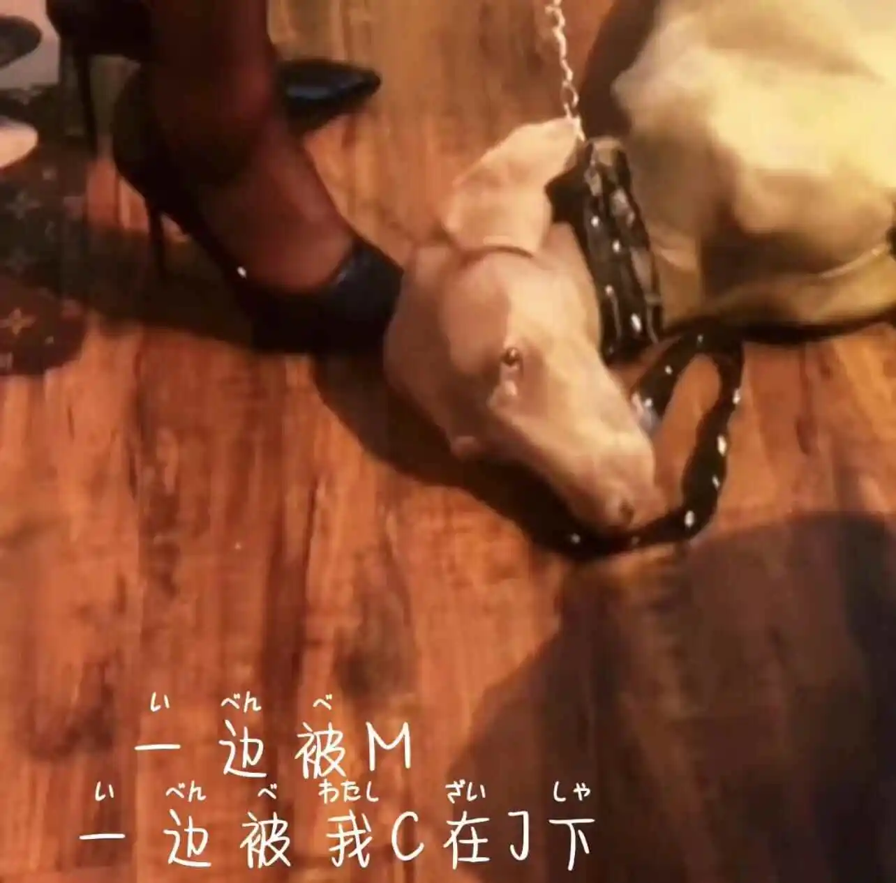 西檬之家dirty talk是什么?字母圈新人入圈 一