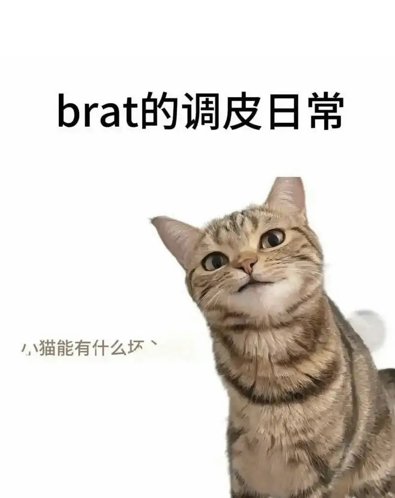 西檬之家字母圈TK实践指南 一
