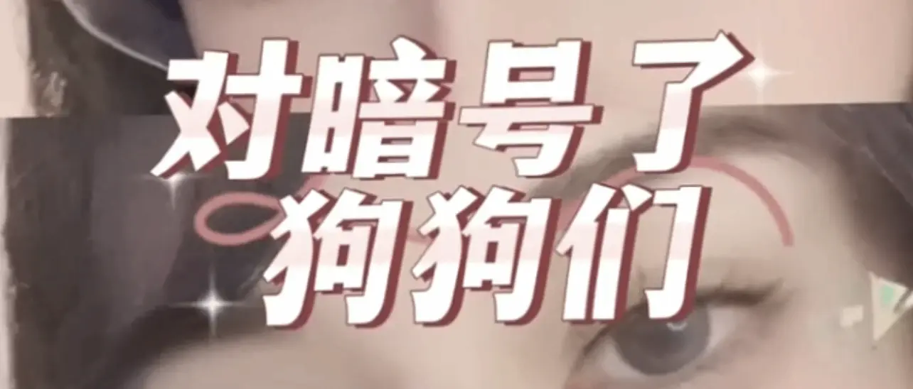 西檬之家k9犬系是什么?字母圈新人入圈 一
