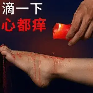 西檬之家Sub是什么?你的字母圈属性 一