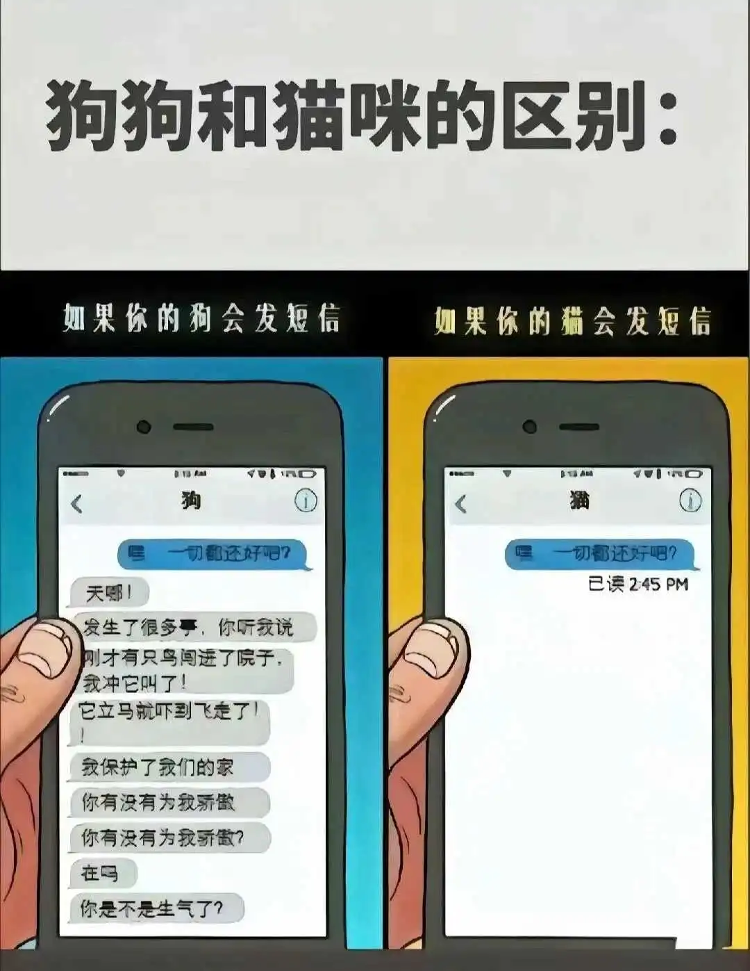 西檬之家字母圈Sub是什么 一