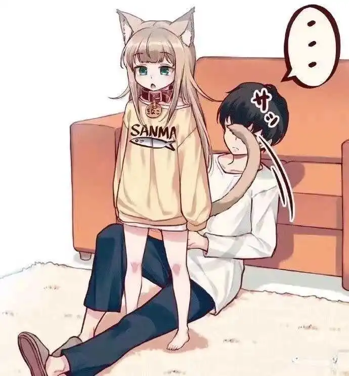 西檬之家K8猫系是什么?字母圈新人如何相处 一