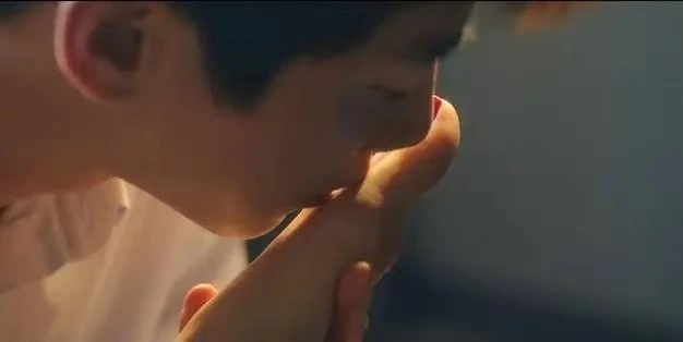 西檬之家M倾向是什么意思? 一