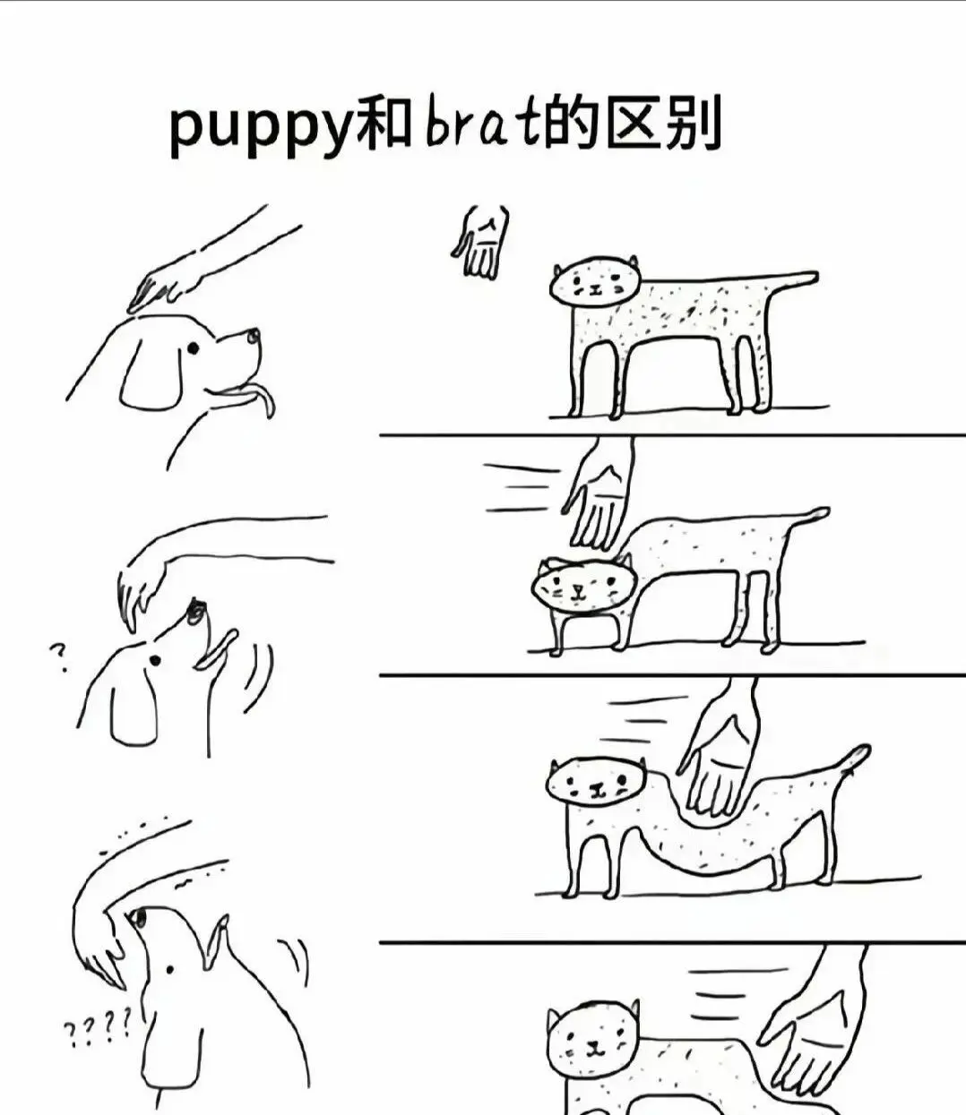 西檬之家ddlg是什么? 一