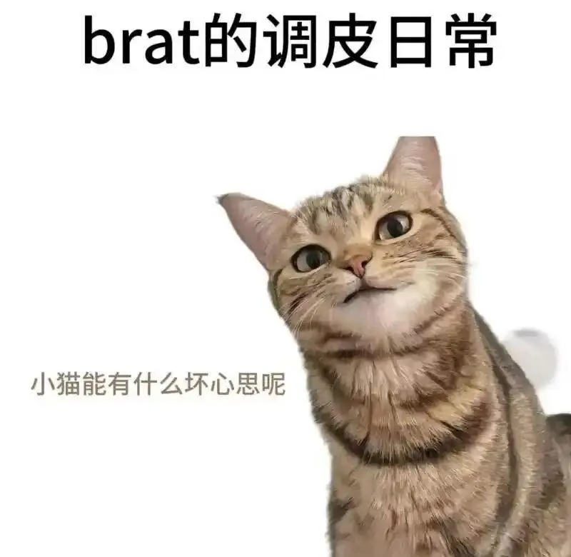西檬之家K8猫系是什么意思? 一
