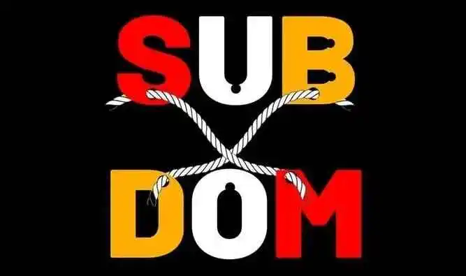 西檬之家BDSM入圈新人避坑指南 一